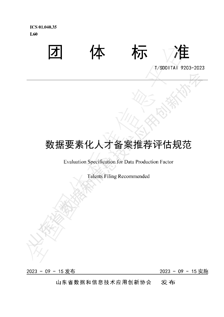 T/SDDITAI 9203-2023 标准预览