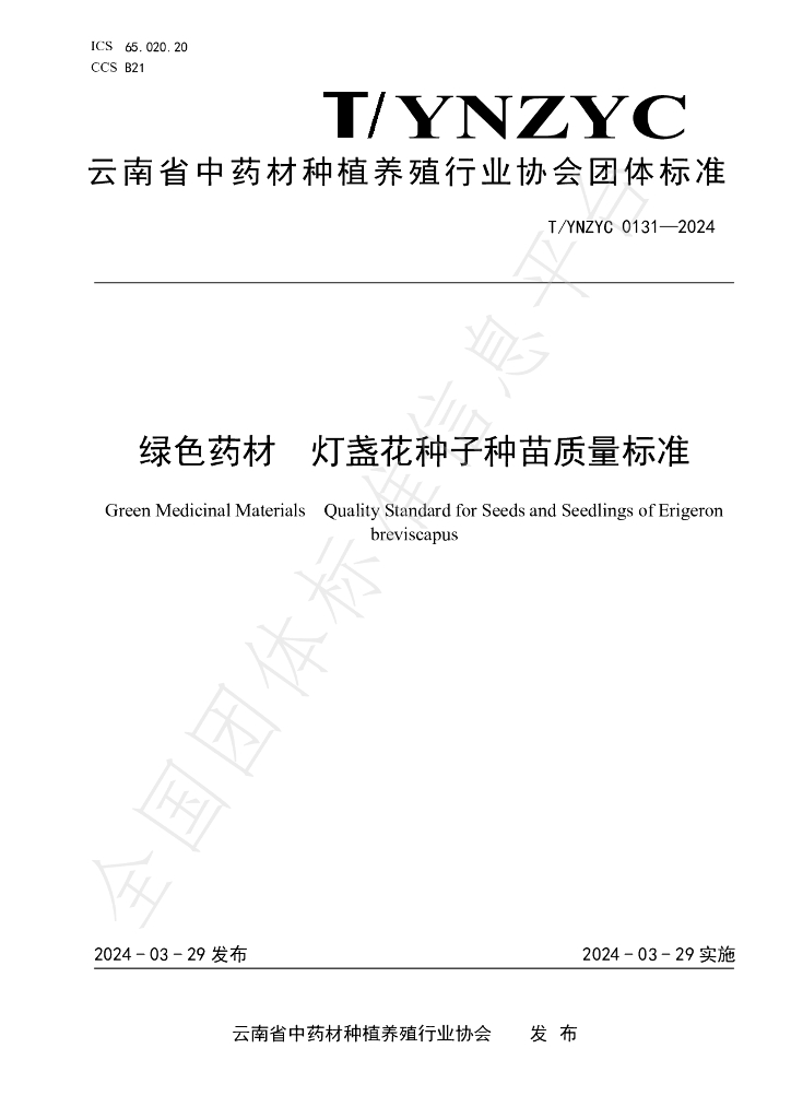 T/YNZYC 0131-2024 标准预览