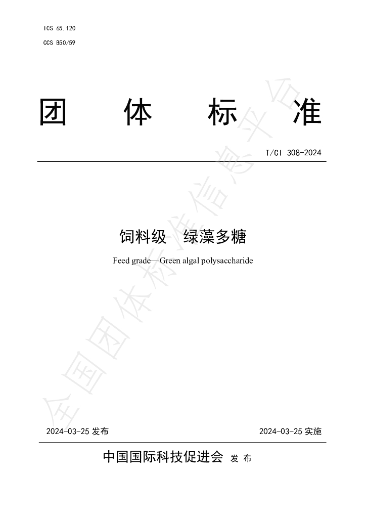 T/CI 308-2024 标准预览