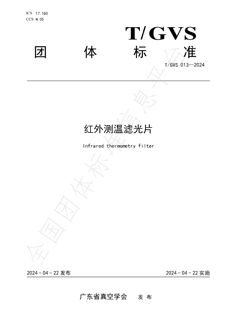 T/GVS 013-2024 标准预览