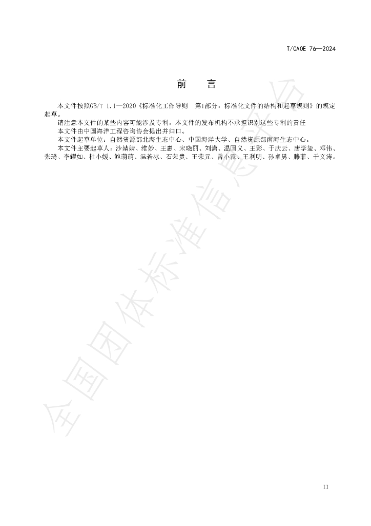 T/CAOE 76-2024 标准预览