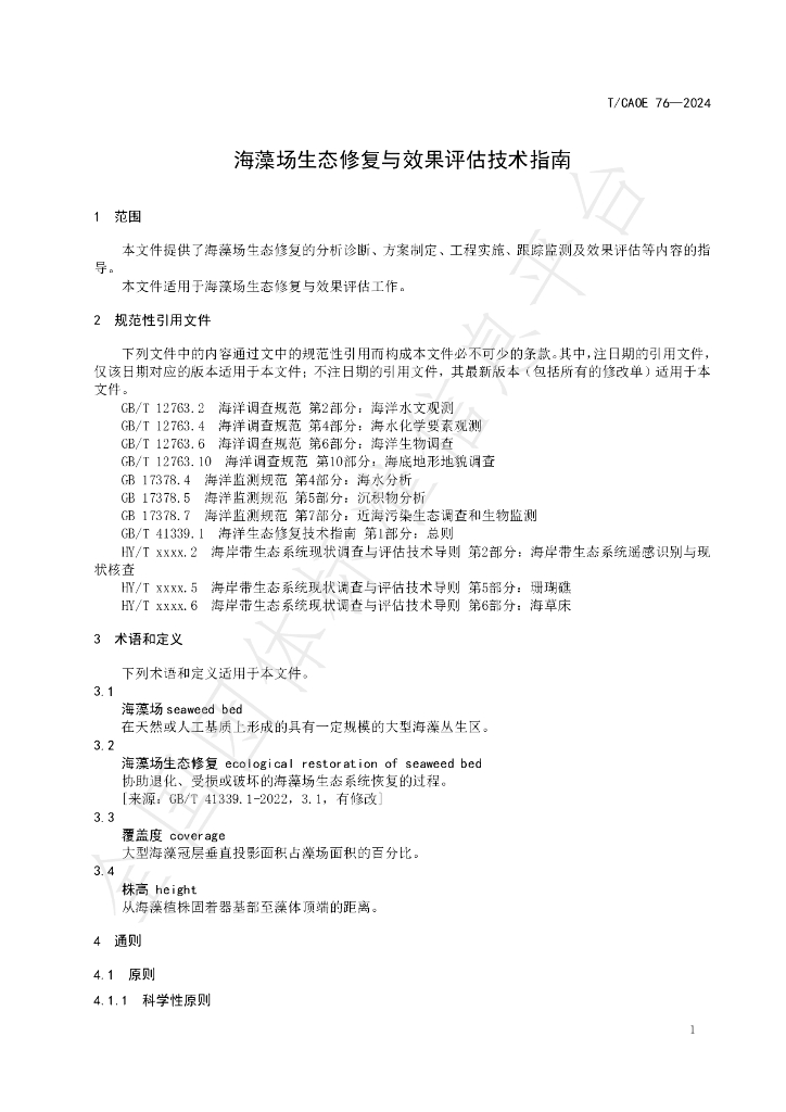 T/CAOE 76-2024 标准预览