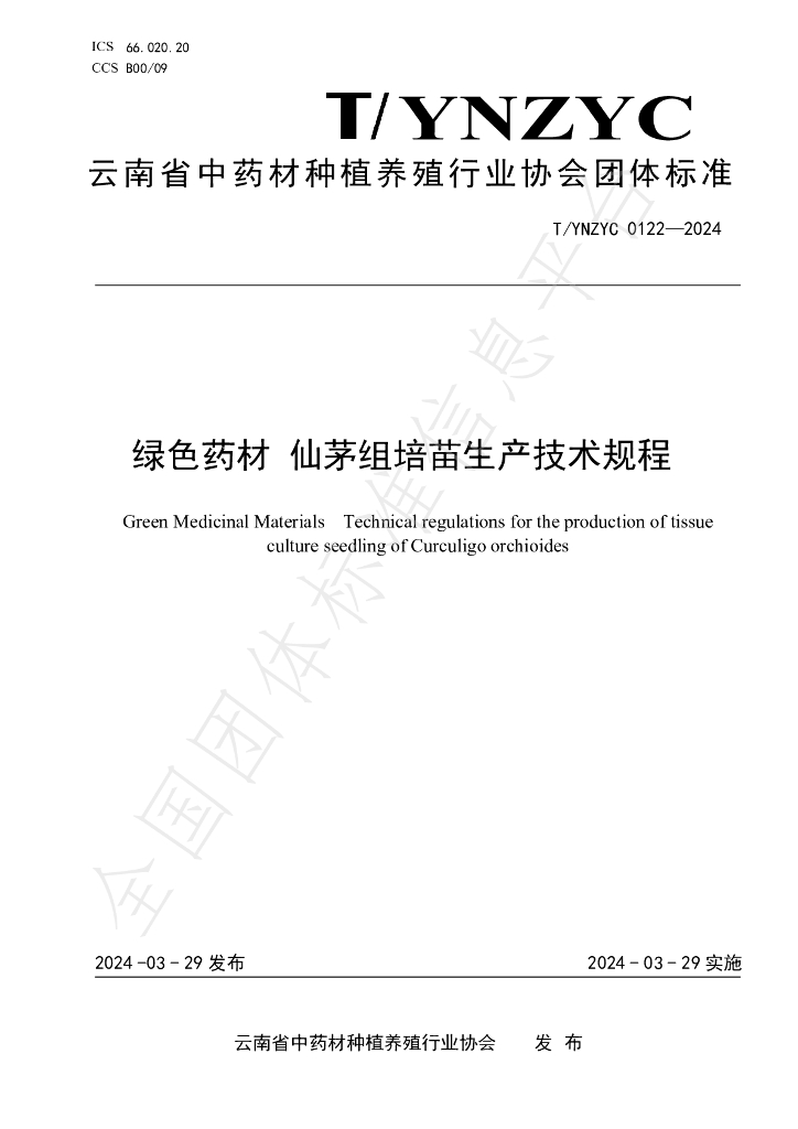T/YNZYC 0122-2024 标准预览