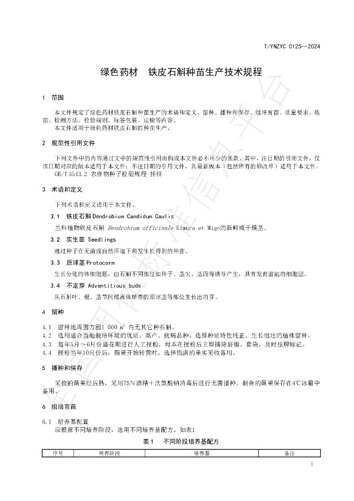 T/YNZYC 0125-2024 标准预览