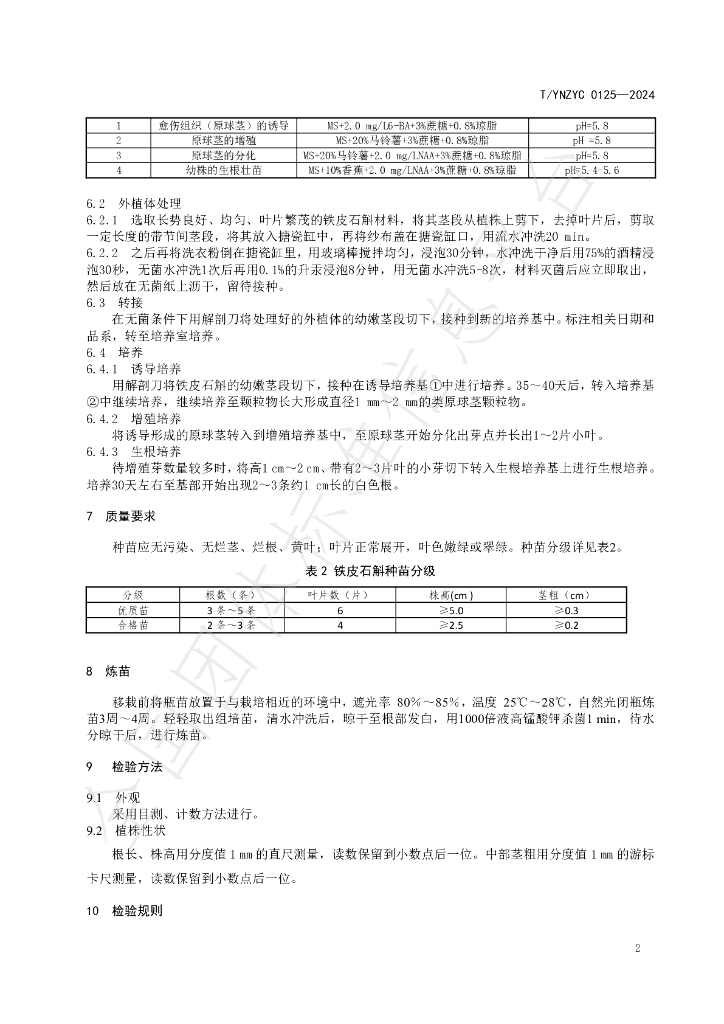 T/YNZYC 0125-2024 标准预览