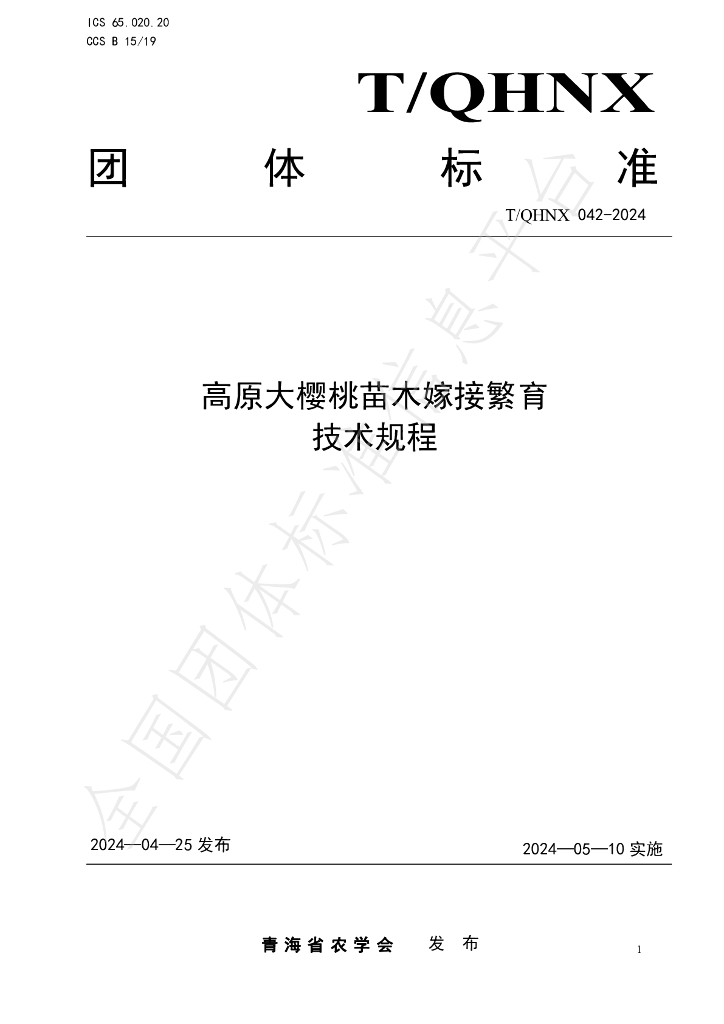 T/QHNX 042-2024 标准预览