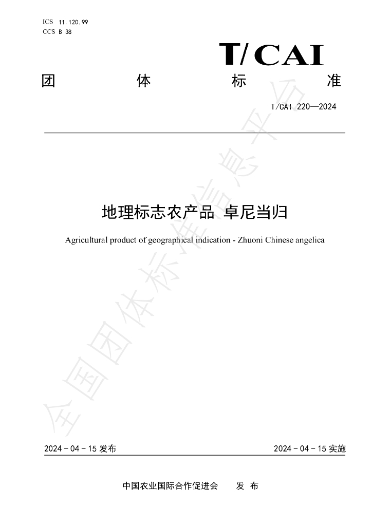 T/CAI 220-2024 标准预览