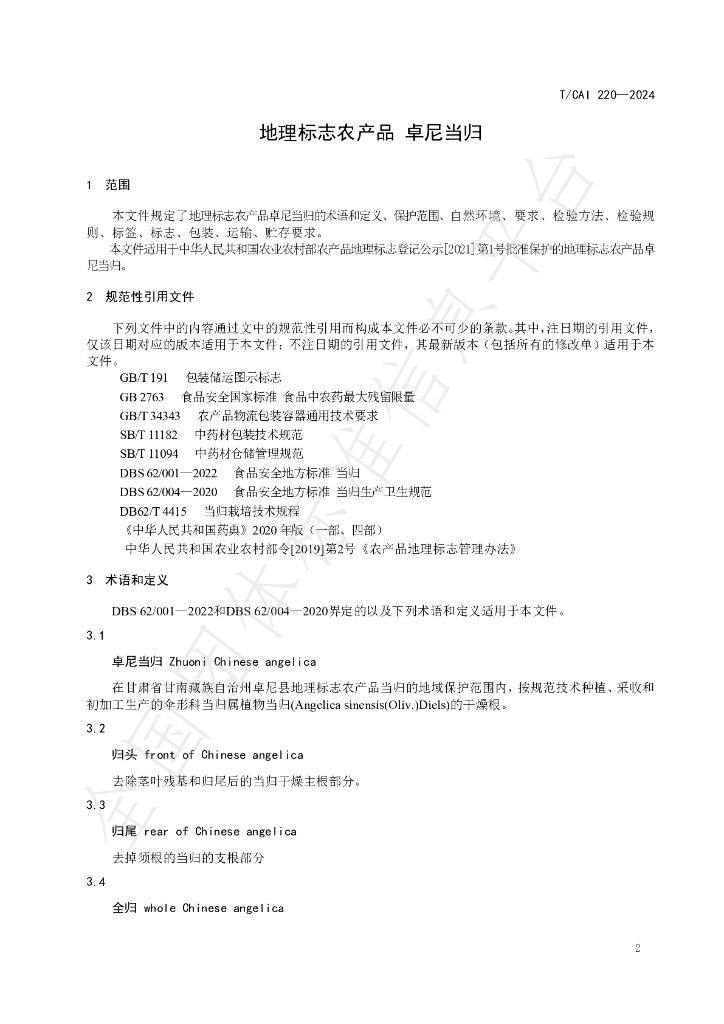 T/CAI 220-2024 标准预览