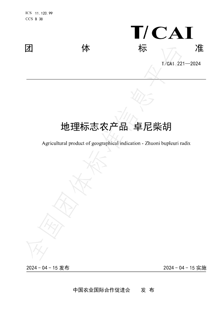 T/CAI 221-2024 标准预览