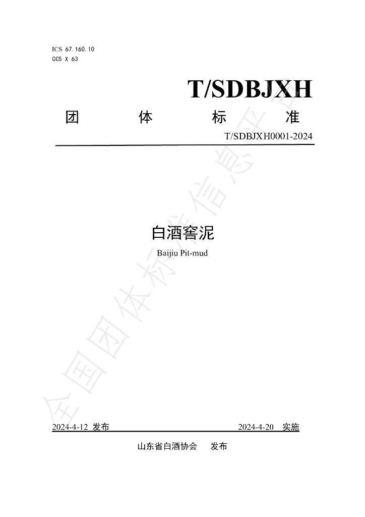 T/SDBJXH 0001-2024 标准预览