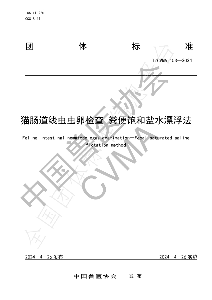 T/CVMA 153-2024 标准预览