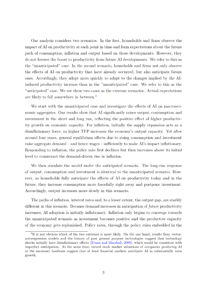 国际清算银行：2024人工智能对产出和通货膨胀的影响报告（英文版）_第6页