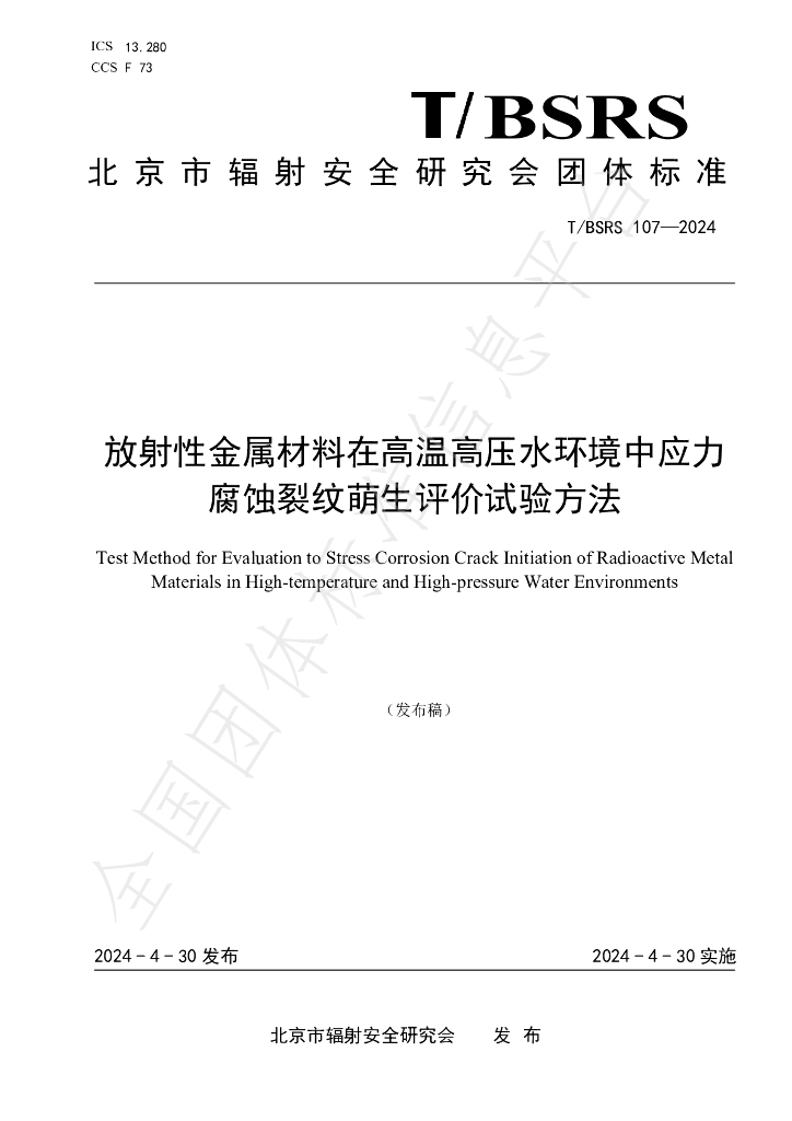 T/BSRS 107-2024 标准预览