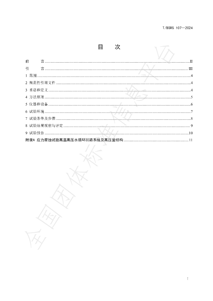 T/BSRS 107-2024 标准预览