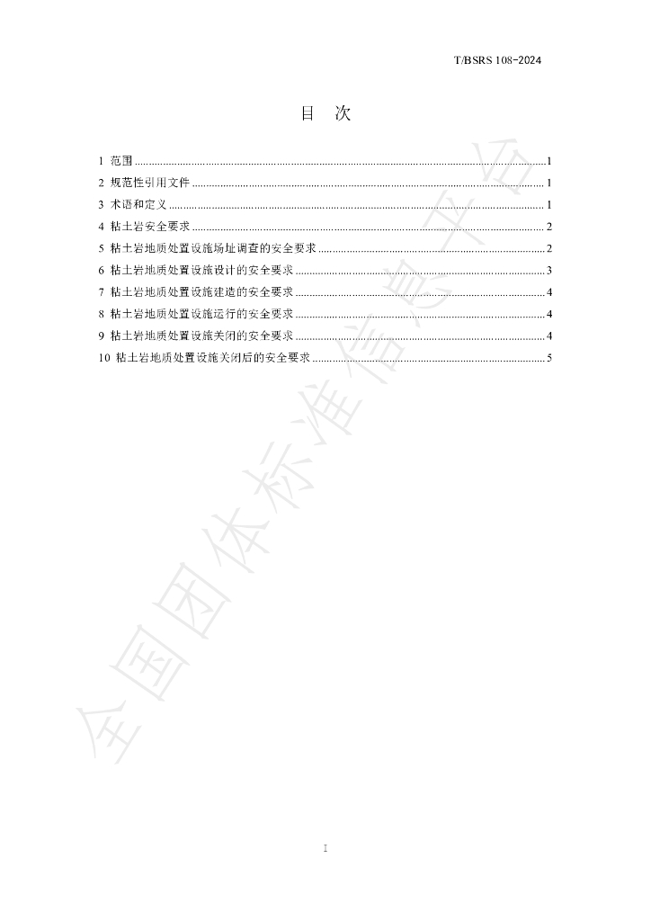 T/BSRS 108-2024 标准预览
