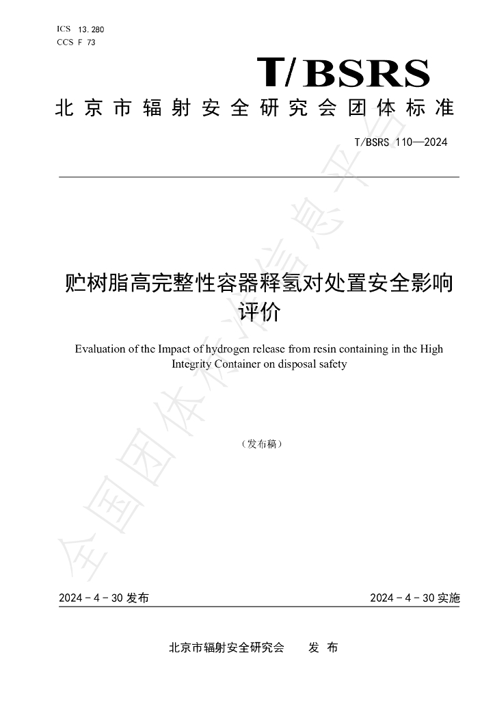 T/BSRS 110-2024 标准预览