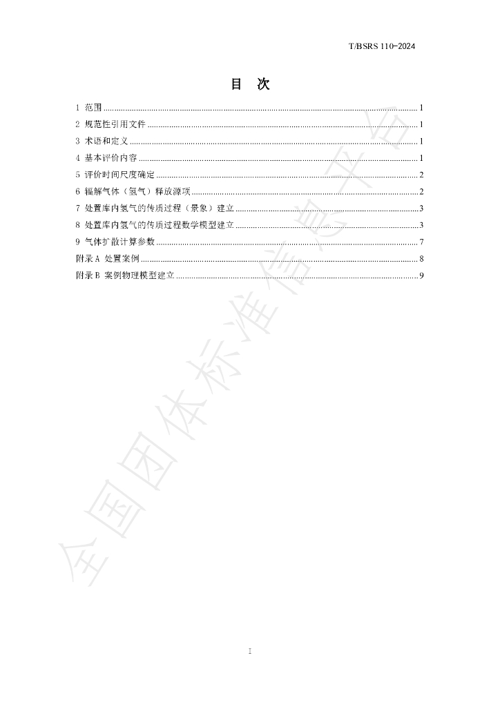 T/BSRS 110-2024 标准预览
