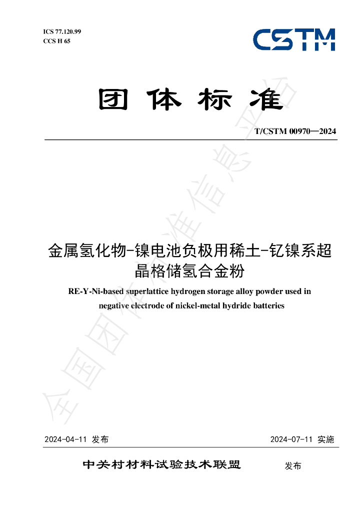 T/CSTM 00970-2024 标准预览