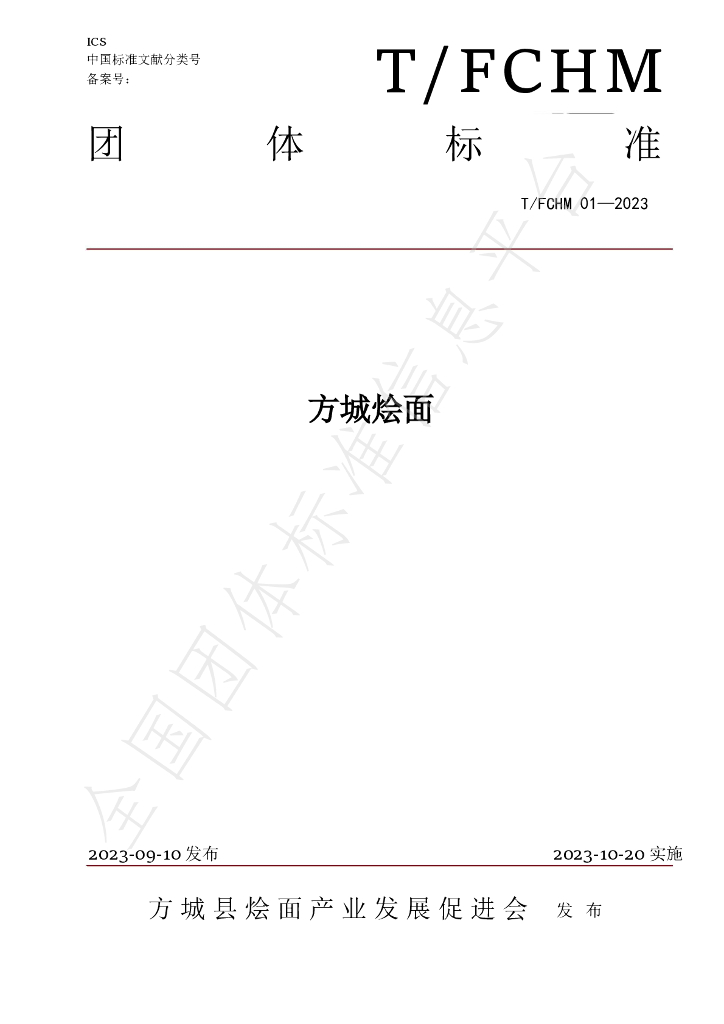T/FCHM 01-2023 标准预览