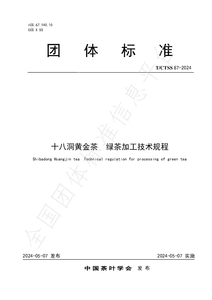T/CTSS 87-2024 标准预览