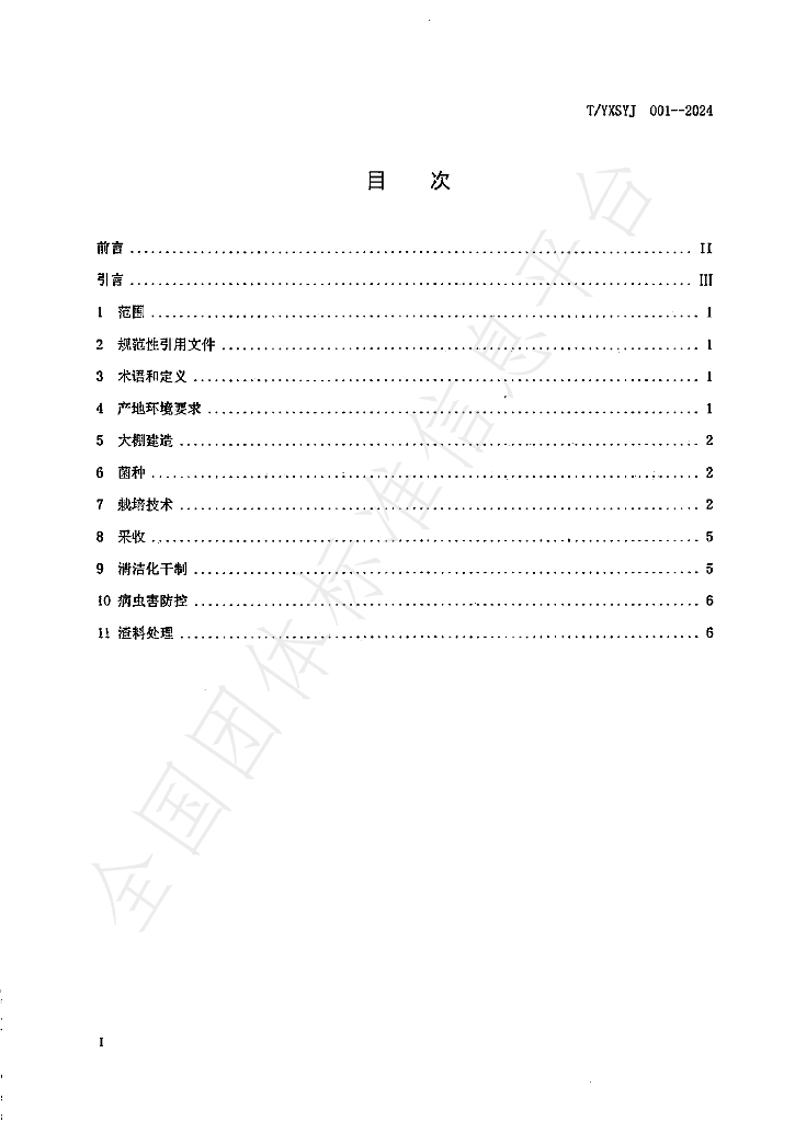 T/YXSYJ 001-2024 标准预览