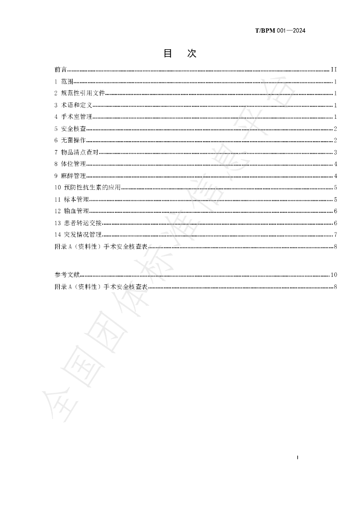 T/BPM 001-2024 标准预览