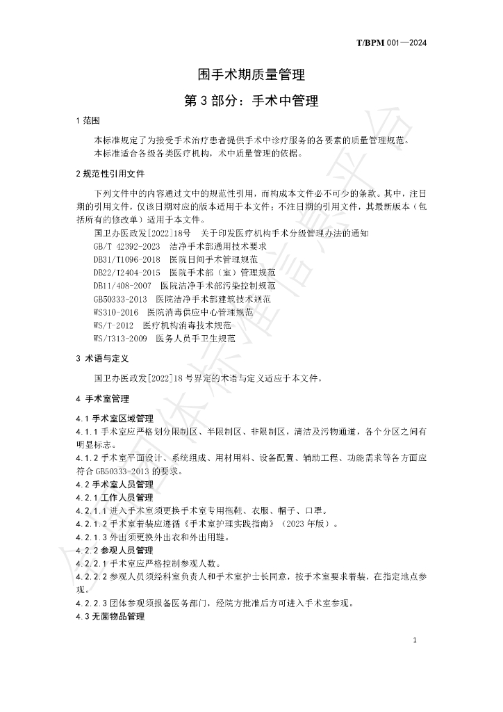 T/BPM 001-2024 标准预览