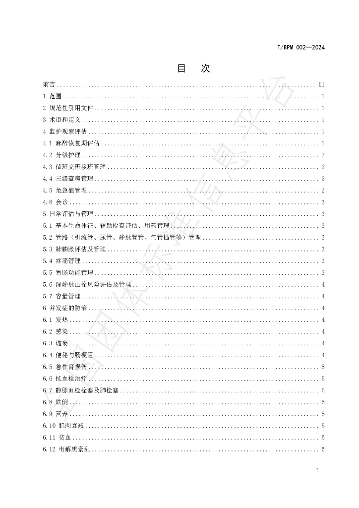 T/BPM 002-2024 标准预览