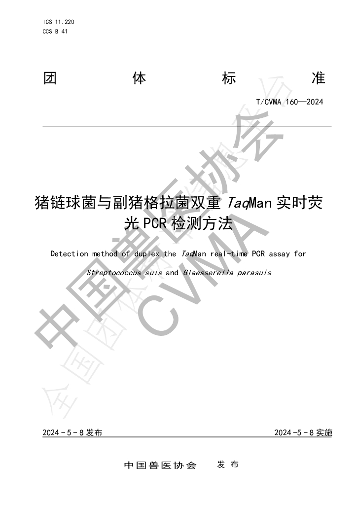 T/CVMA 160-2024 标准预览