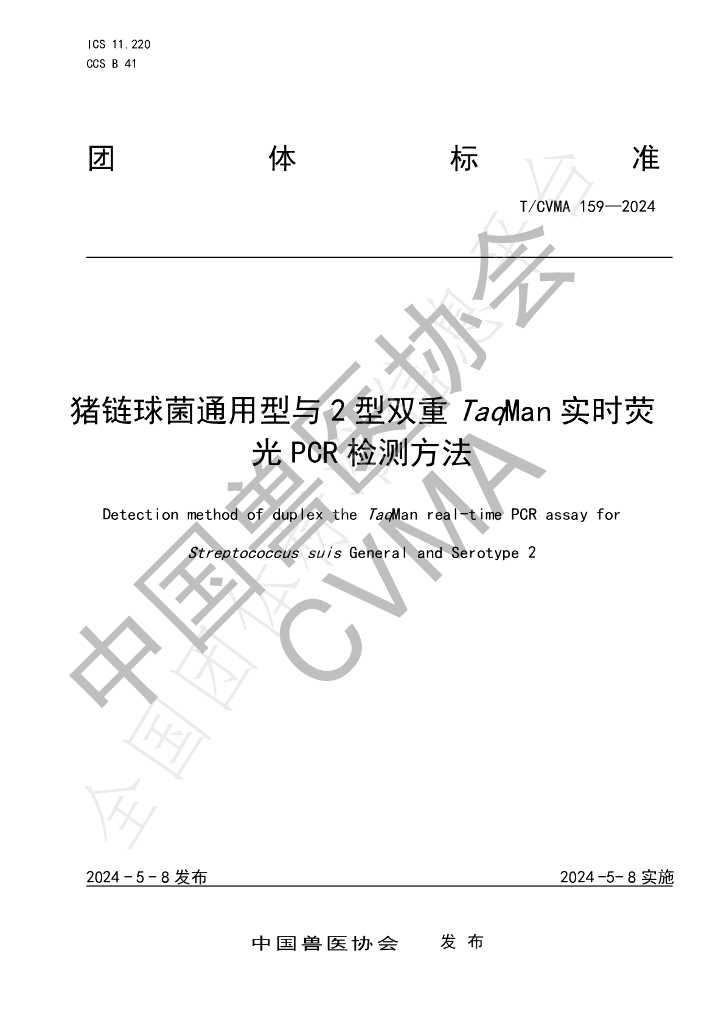 T/CVMA 159-2024 标准预览