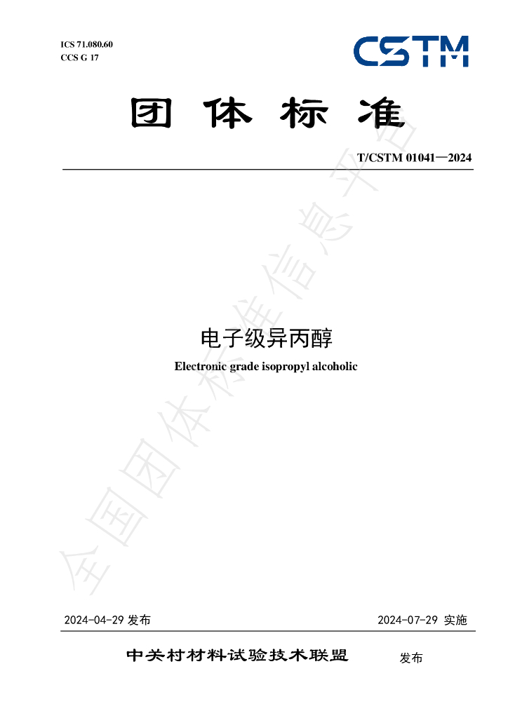 T/CSTM 01041-2024 标准预览