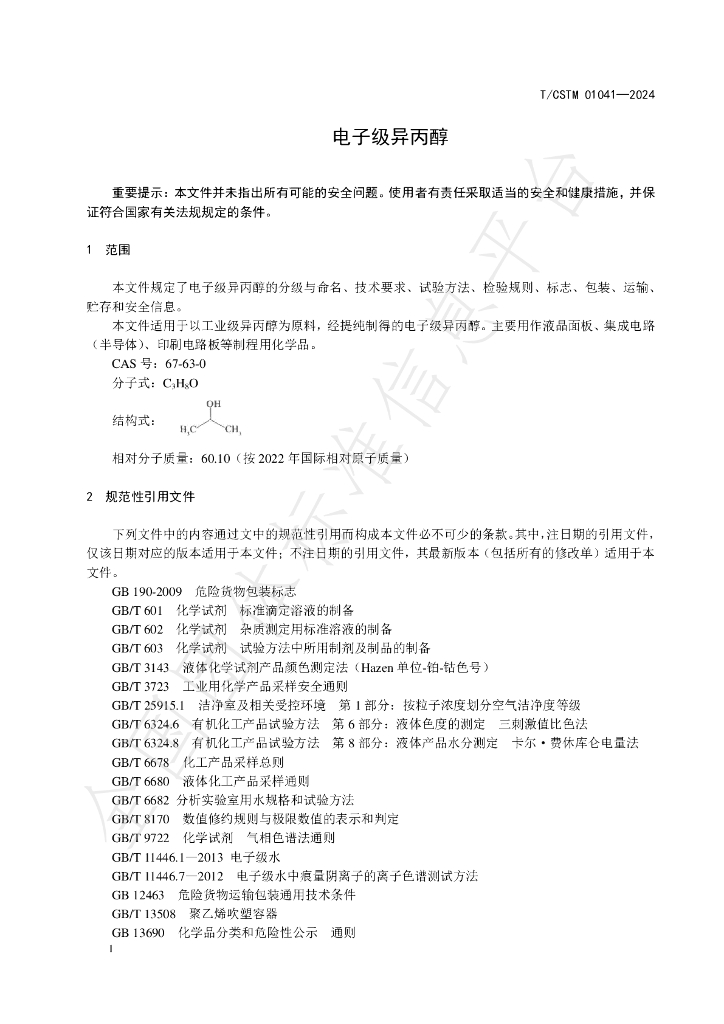 T/CSTM 01041-2024 标准预览