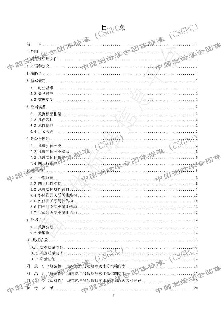 T/CSGPC 025-2024 标准预览