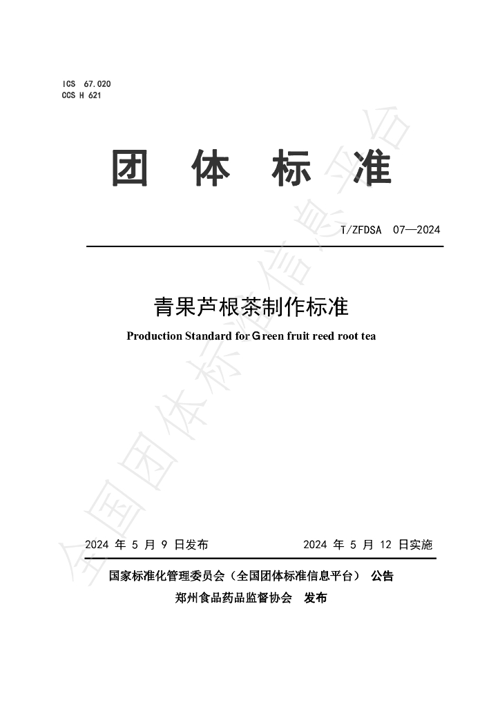 T/ZFDSA 07-2024 标准预览