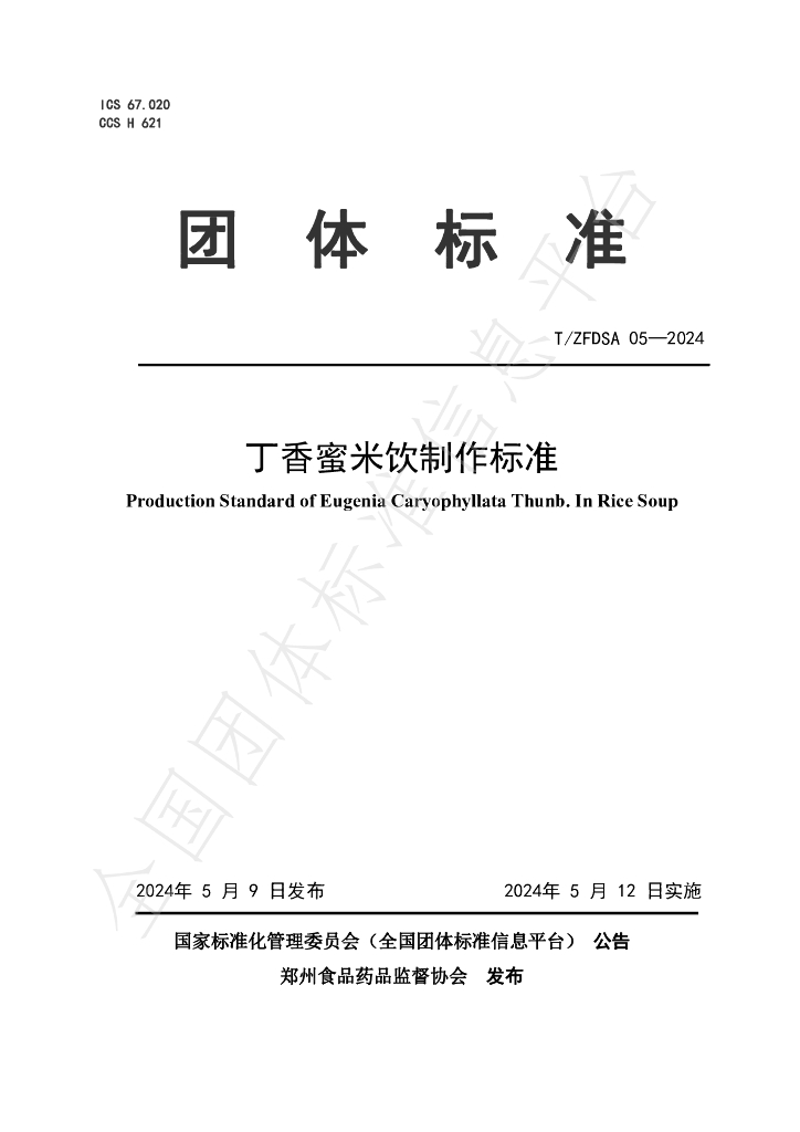T/ZFDSA 05-2024 标准预览