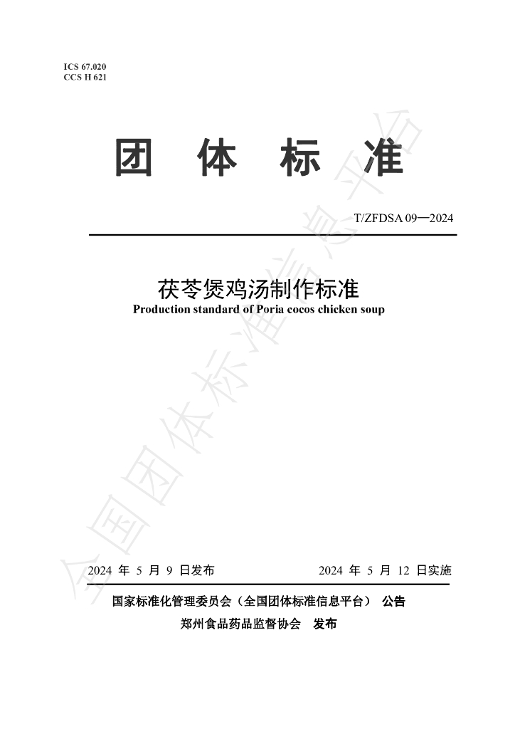 T/ZFDSA 09-2024 标准预览