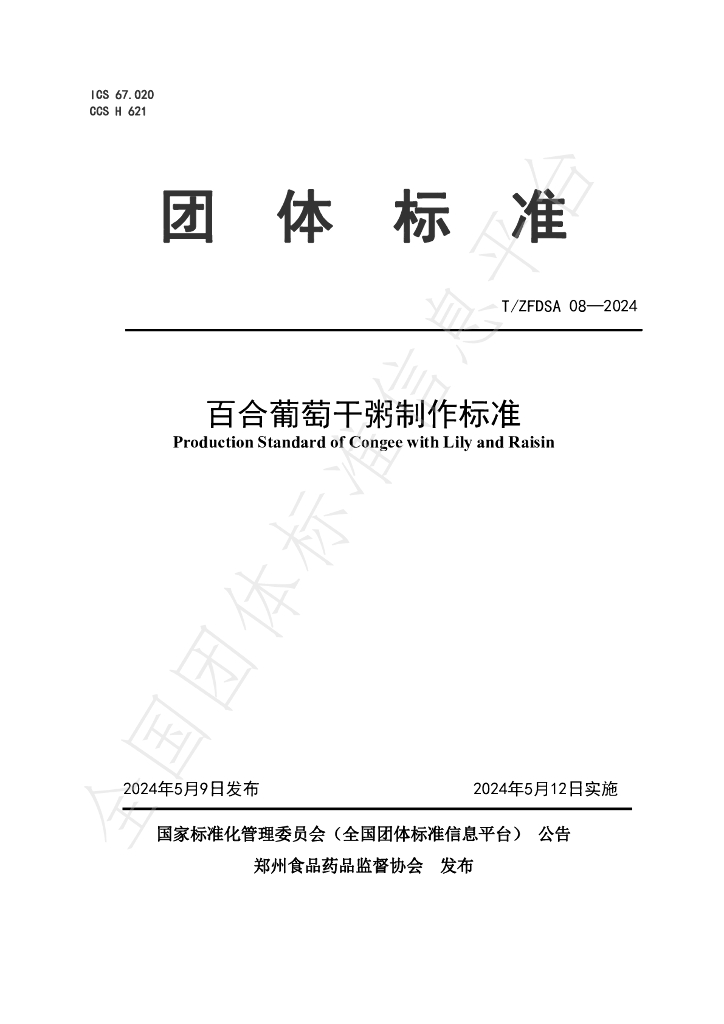 T/ZFDSA 08-2024 标准预览