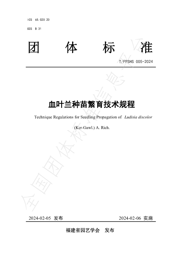 T/FPSHS 005-2024 标准预览