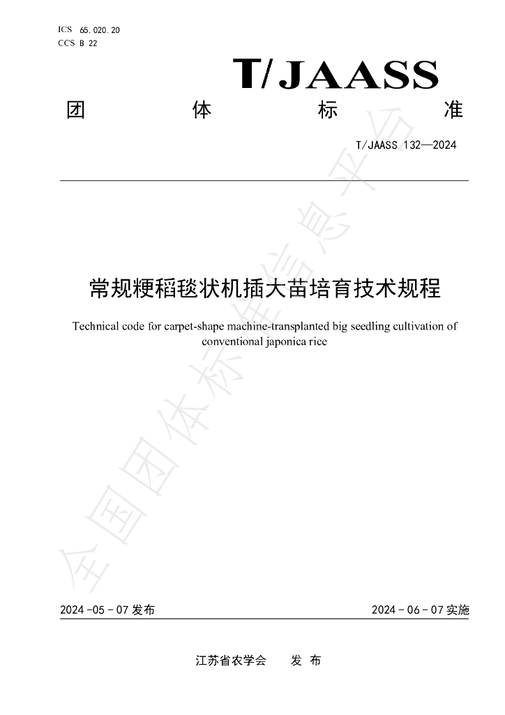 T/JAASS 132-2024 标准预览
