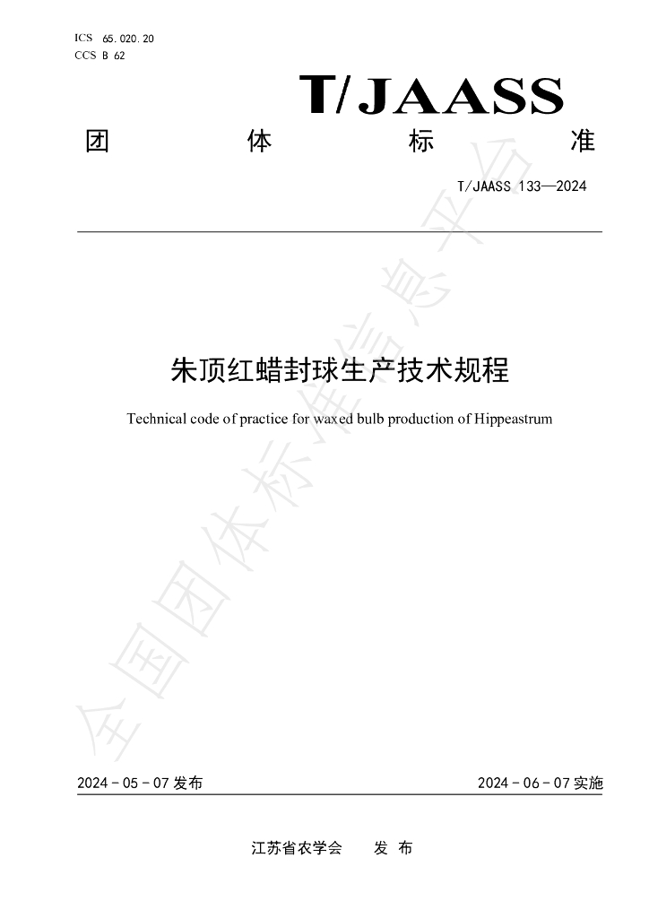 T/JAASS 133-2024 标准预览