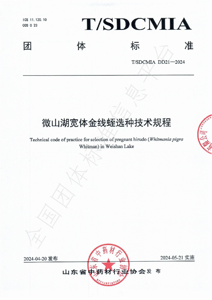 T/SDCMIA DD21-2024 标准预览