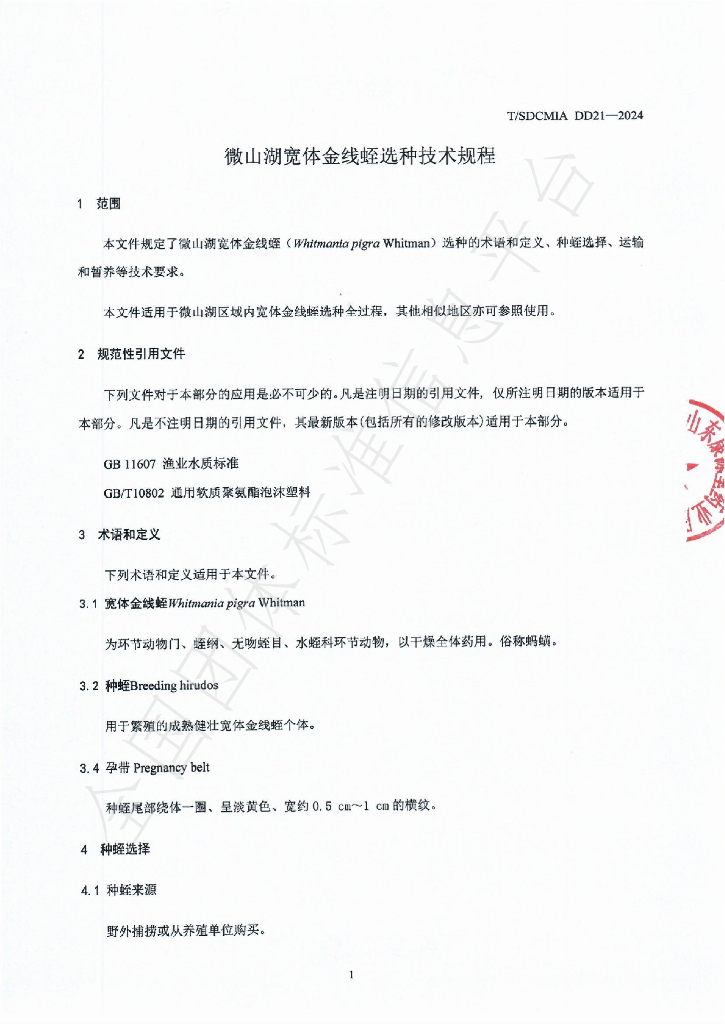 T/SDCMIA DD21-2024 标准预览