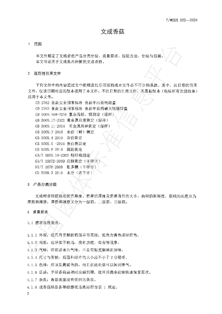 T/WCGS 002-2024 标准预览
