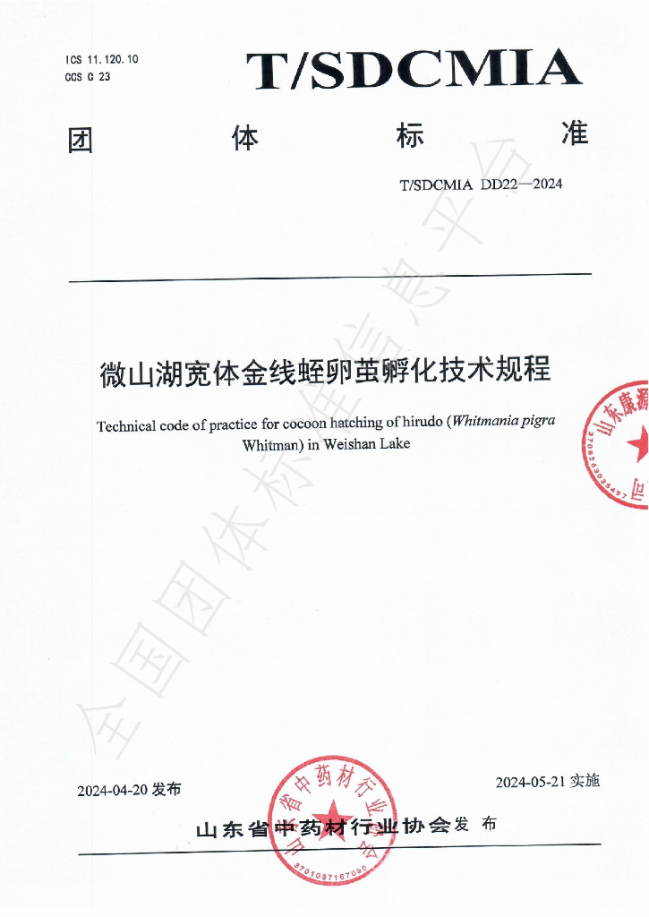 T/SDCMIA DD22-2024 标准预览