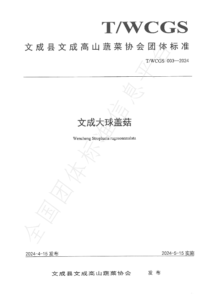 T/WCGS 003-2024 标准预览