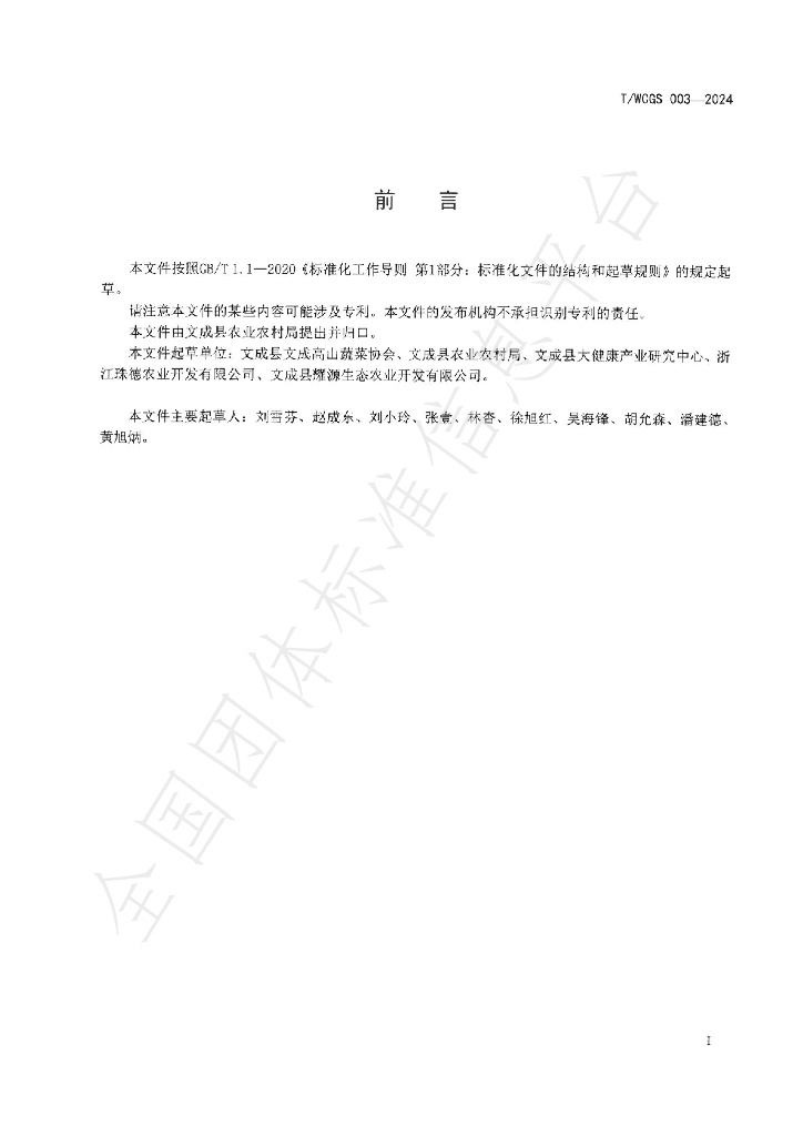 T/WCGS 003-2024 标准预览