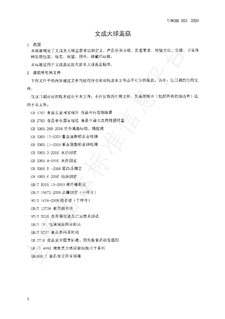 T/WCGS 003-2024 标准预览