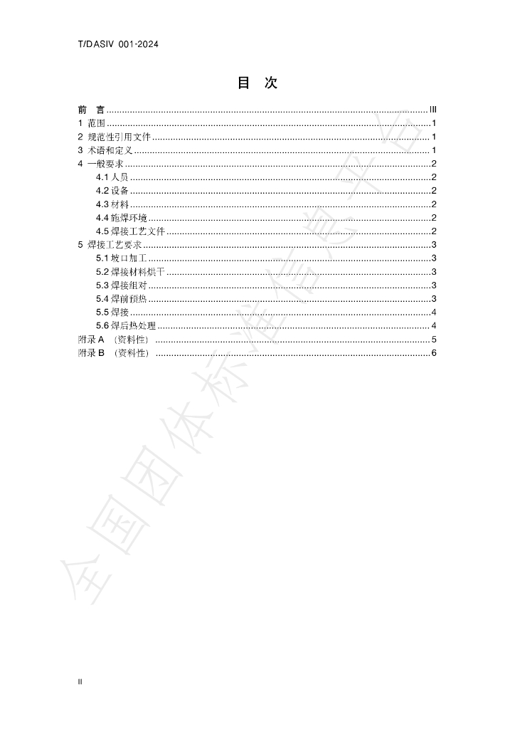 T/DASIV 001-2024 标准预览