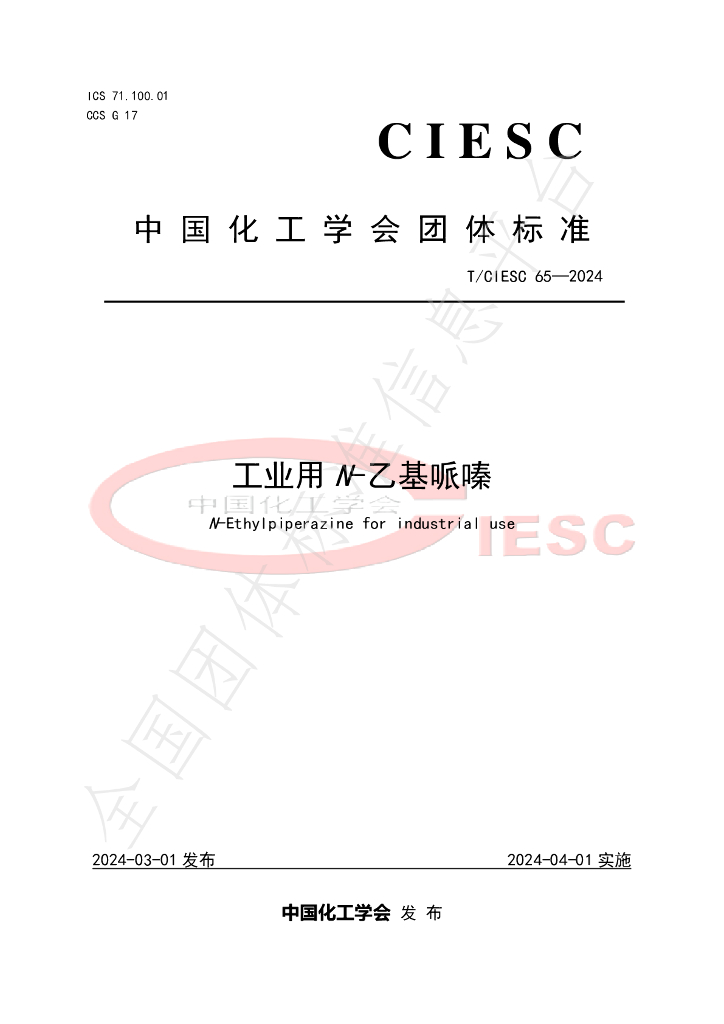 T/CIESC 65-2024 标准预览