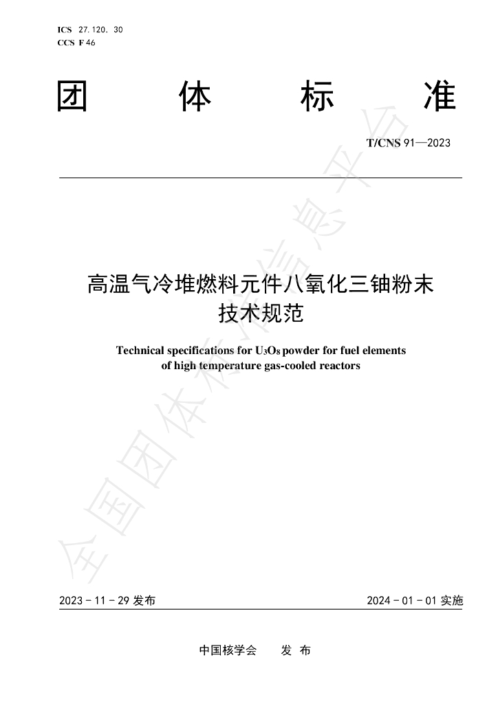 T/CNS 91-2023 标准预览